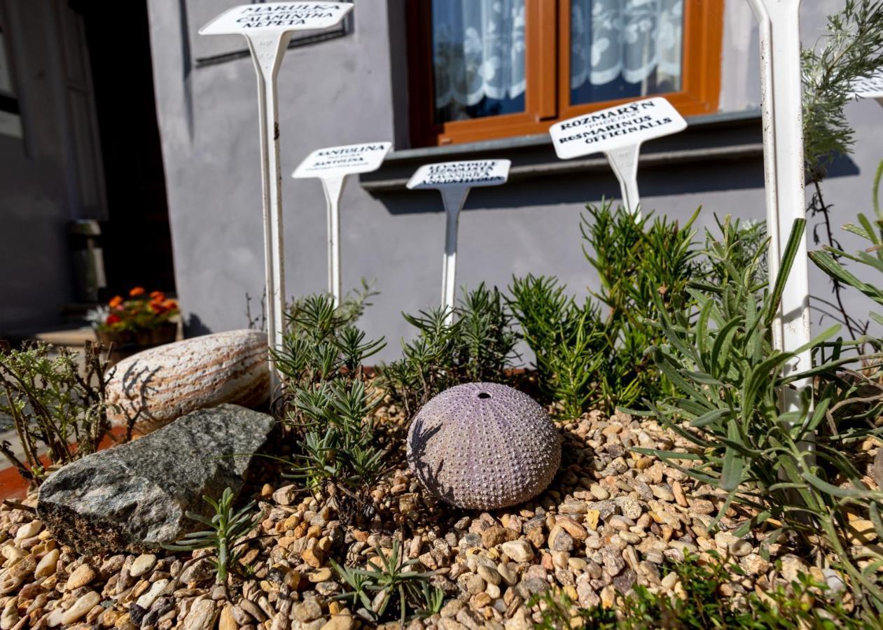 Apartmány U Aloise Dolní Morava Exterior foto