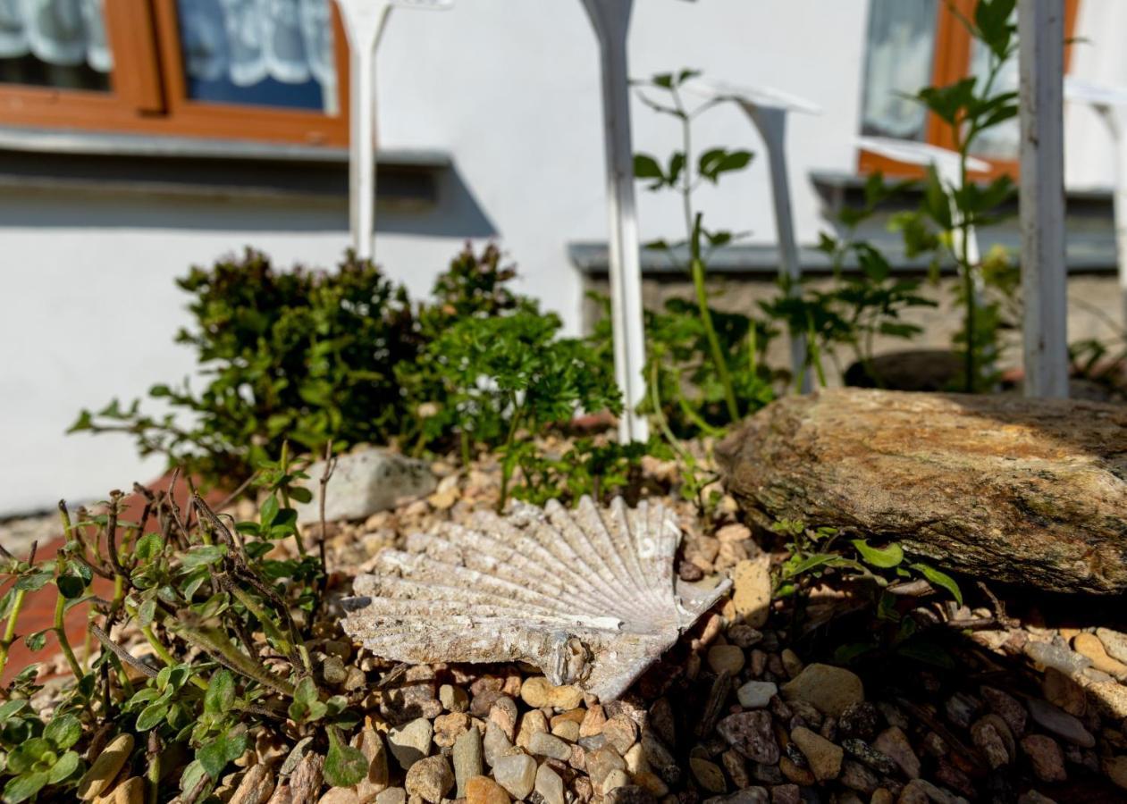 Apartmány U Aloise Dolní Morava Exterior foto